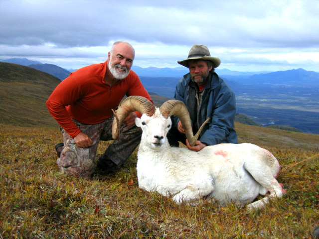 Dall Sheep success