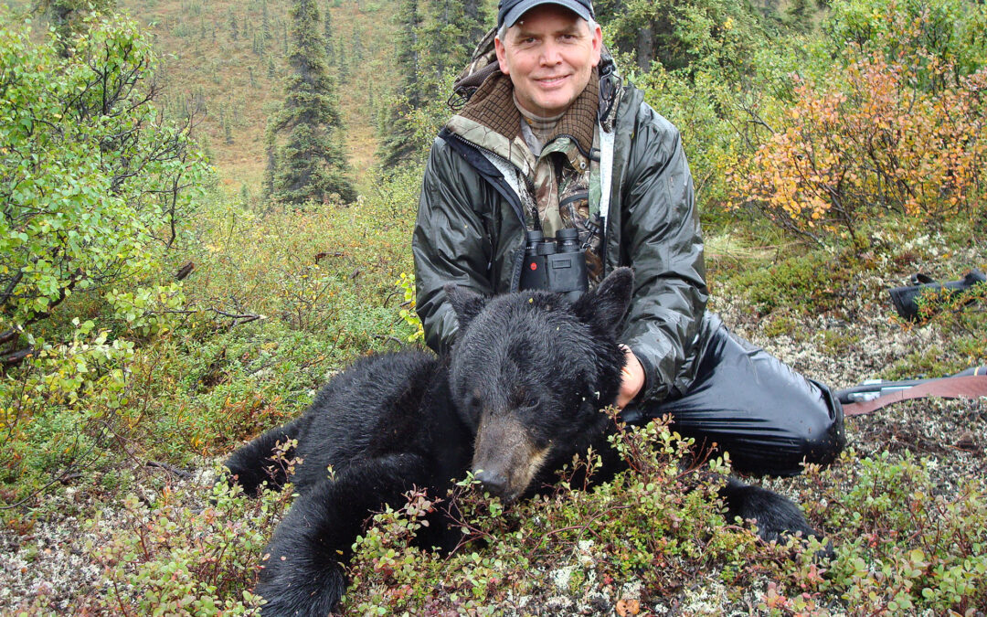 Black bear harvest